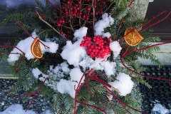 IMG_20201214_081754