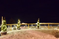 DSC_0466M