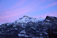 DSC_0493M