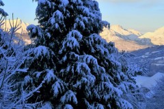 IMG_20201206_082153