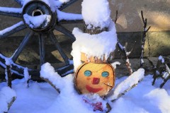 IMG_20201206_134415