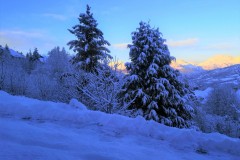 IMG_20201206_173618M